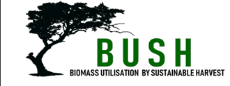 bush logo