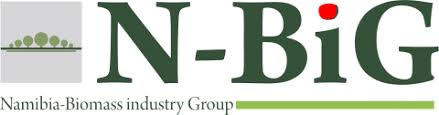 n-big logo